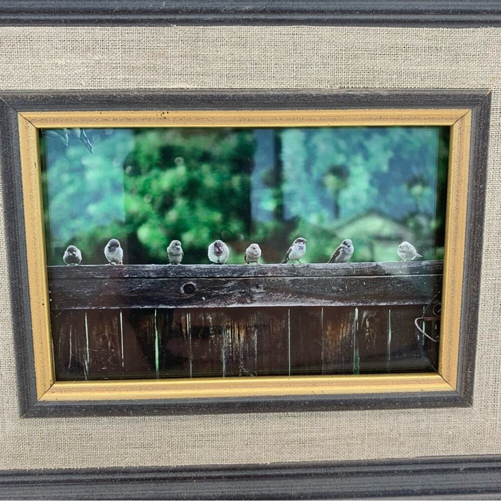 Sparrows On A Fence Photograph Wall Art